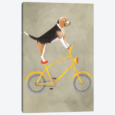 Beagle On Bicycle Canvas Print #COC177} by Coco de Paris Canvas Art Print