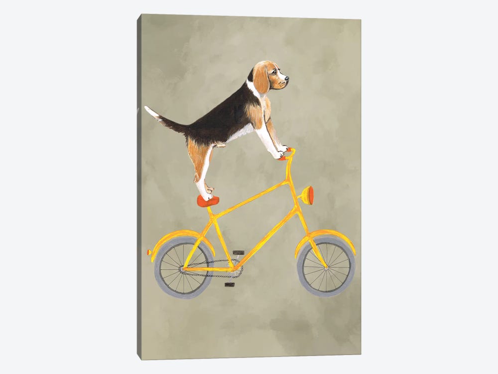 Beagle On Bicycle by Coco de Paris 1-piece Canvas Artwork