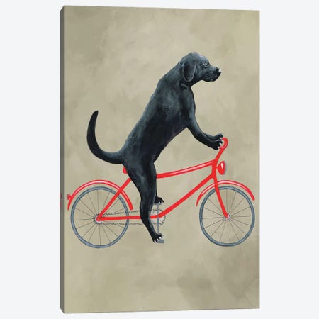 Black Labrador On Bicycle Canvas Print #COC178} by Coco de Paris Canvas Art