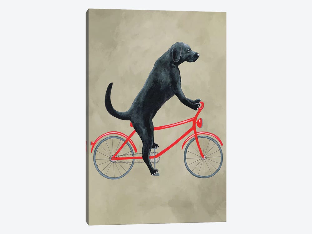 Black Labrador On Bicycle by Coco de Paris 1-piece Art Print