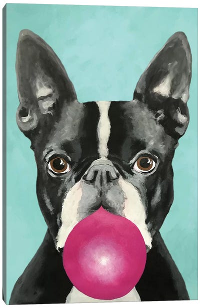 Bubblegum Boston Terrier Canvas Art Print - Boston Terrier Art