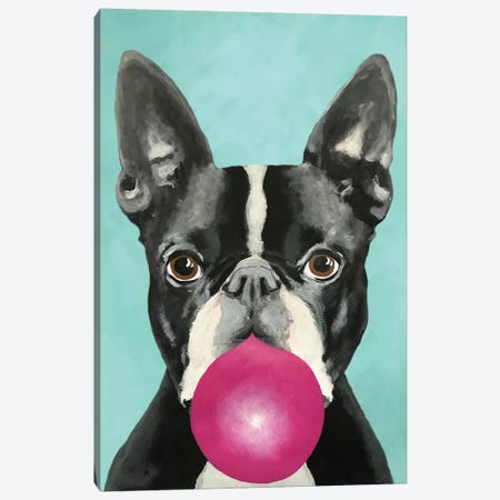 Bubblegum Boston Terrier Canvas Print #COC179} by Coco de Paris Canvas Wall Art