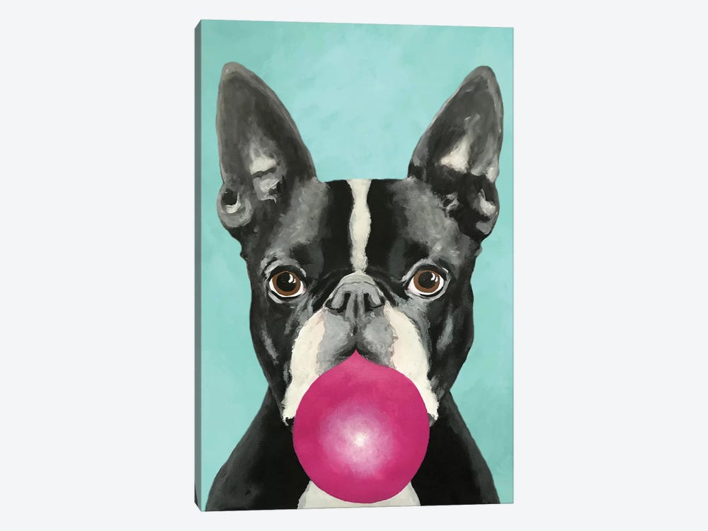 Bubblegum Boston Terrier by Coco de Paris 1-piece Canvas Art