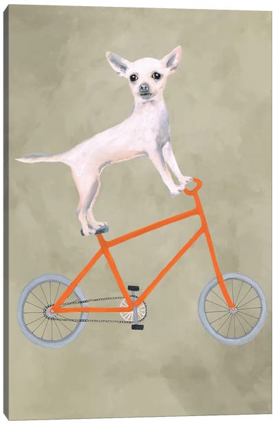 Chihuahua On Bicycle Canvas Art Print - Cycling Art