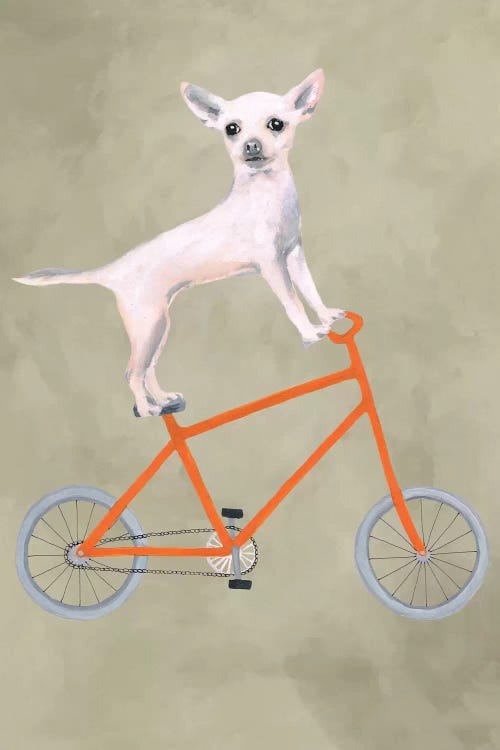 Chihuahua On Bicycle by Coco de Paris wall art