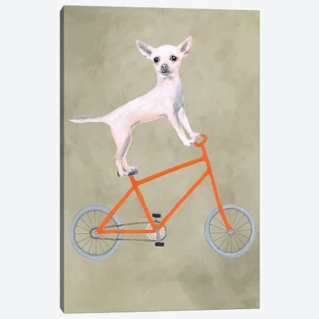 Chihuahua On Bicycle Canvas Print #COC17} by Coco de Paris Canvas Artwork