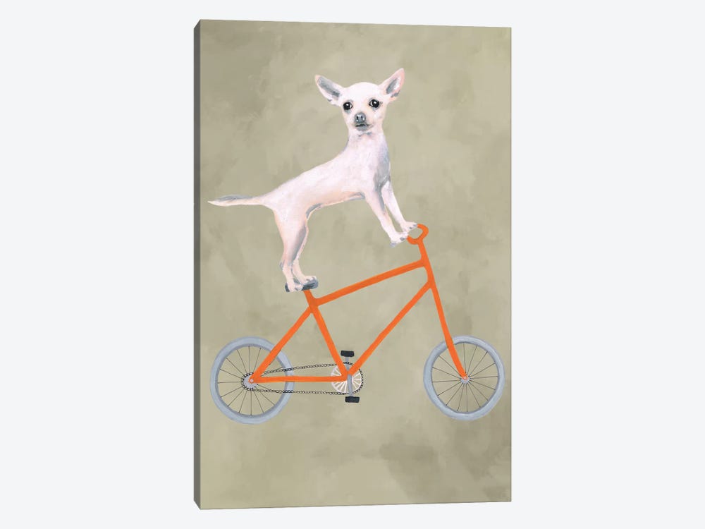 Chihuahua On Bicycle by Coco de Paris 1-piece Canvas Artwork