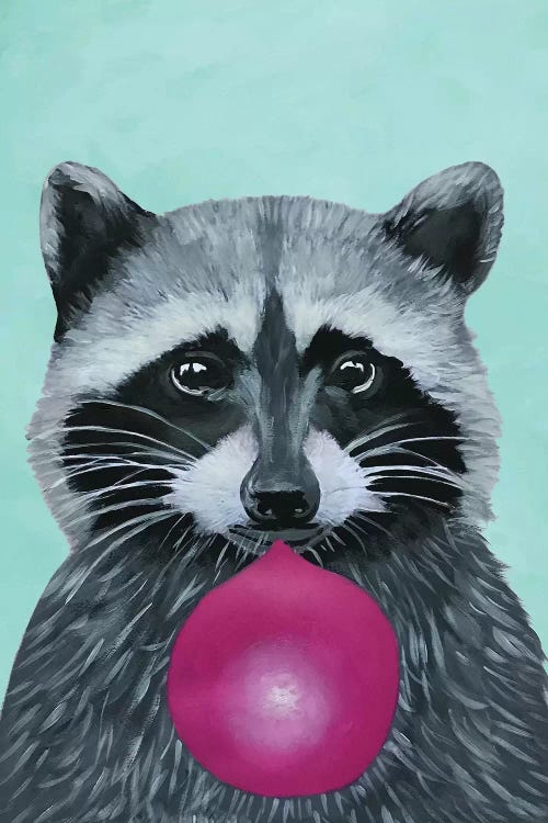 Bubblegum Raccoon, Turquoise