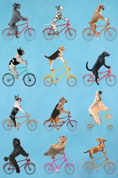 Bicycles: Cycling Dogs by Coco de Paris