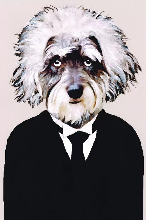 Einstein by Coco de Paris wall art