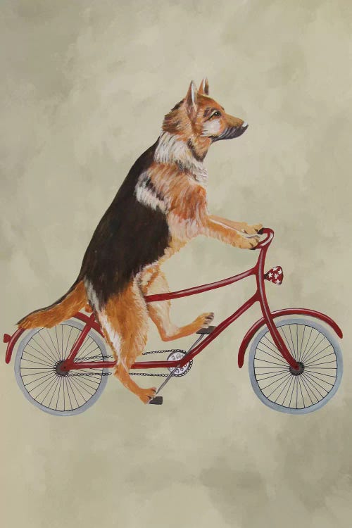 German Shepherd On Bicycle