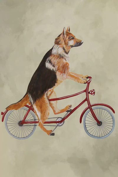 German Shepherd On Bicycle