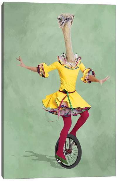 Ostrich Monocycle Canvas Art Print - Performing Arts