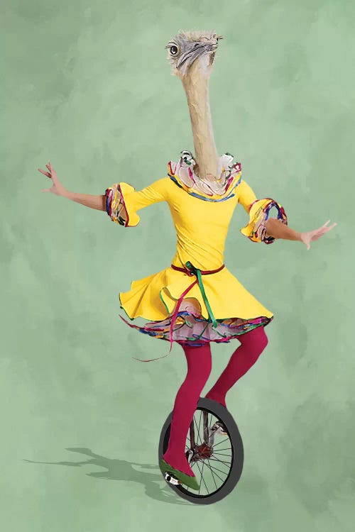 Ostrich Monocycle by Coco de Paris wall art