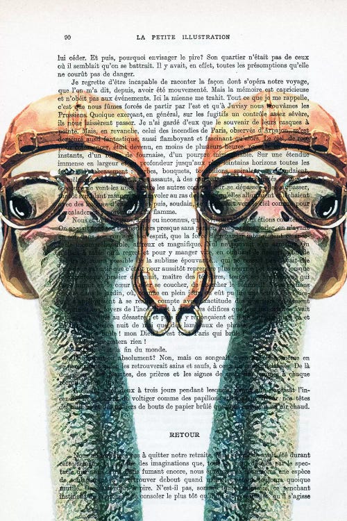 Ostriches Vintage Pilots