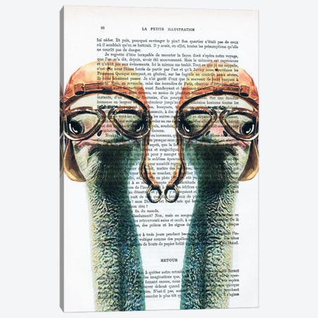 Ostriches Vintage Pilots Canvas Print #COC218} by Coco de Paris Art Print