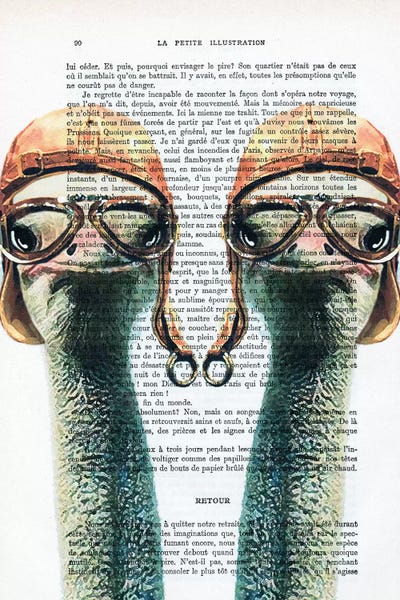 Ostriches: Ostriches Vintage Pilots by Coco de Paris