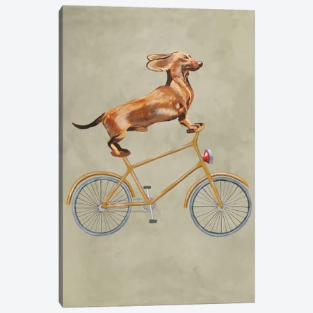 Dachshund On Bicycle I Canvas Print #COC21} by Coco de Paris Canvas Wall Art
