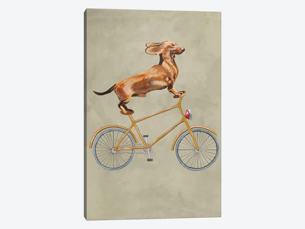 Dachshund On Bicycle I 1-piece Art Print