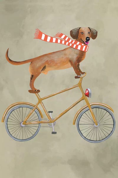 Dachshund On Bicycle II by Coco de Paris canvas print