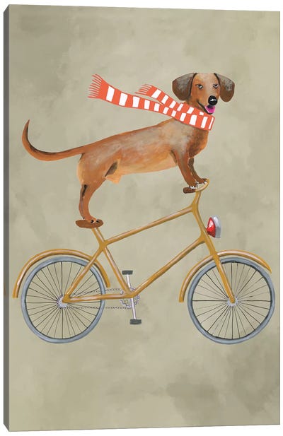 Dachshund On Bicycle II Canvas Art Print - Bicycle Art