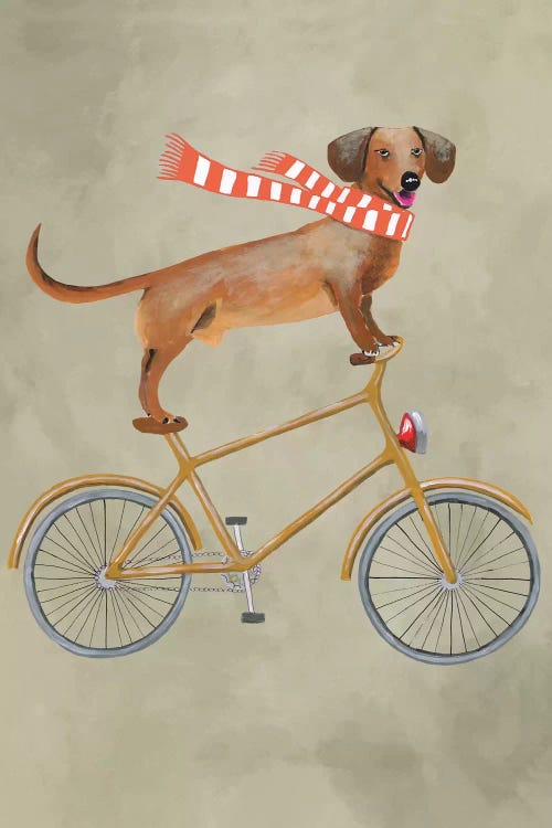 Dachshund On Bicycle II