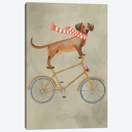 Dachshund On Bicycle II Canvas Print #COC22} by Coco de Paris Canvas Artwork