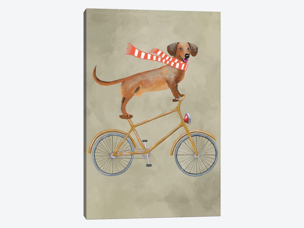 Dachshund On Bicycle II by Coco de Paris 1-piece Canvas Art