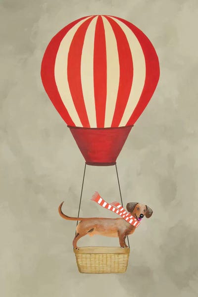 Dachshund With Air Balloon by Coco de Paris framed canvas print