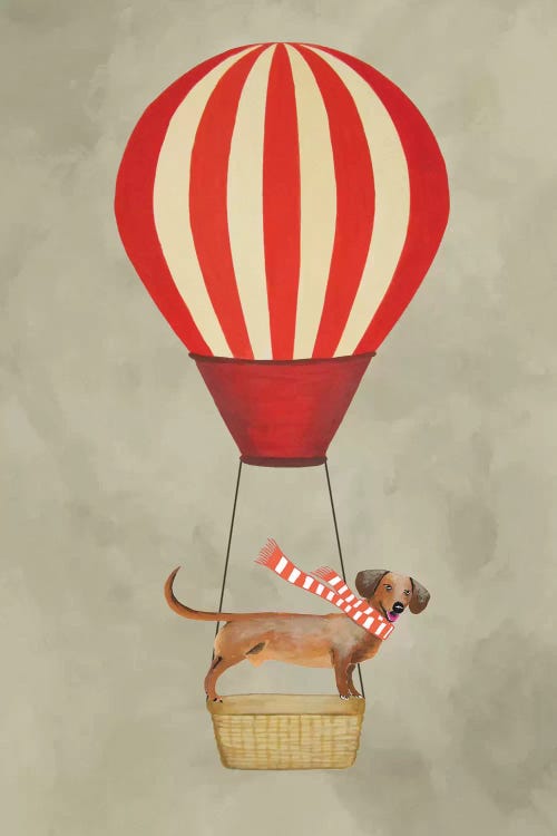 Dachshund With Air Balloon