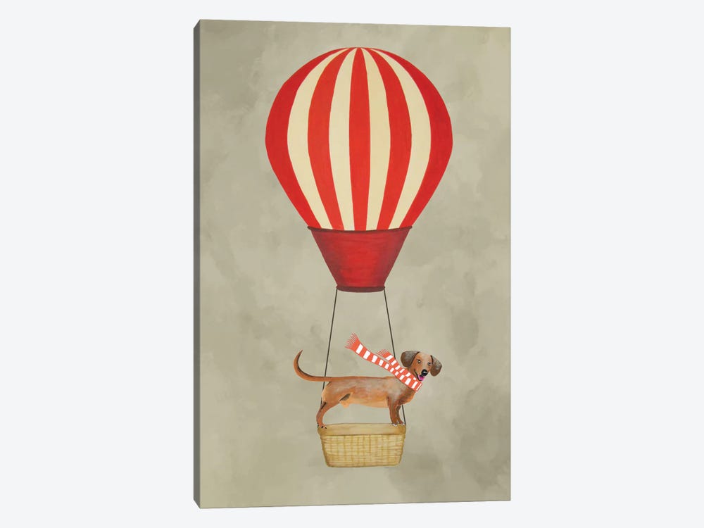 Dachshund With Air Balloon by Coco de Paris 1-piece Canvas Art Print