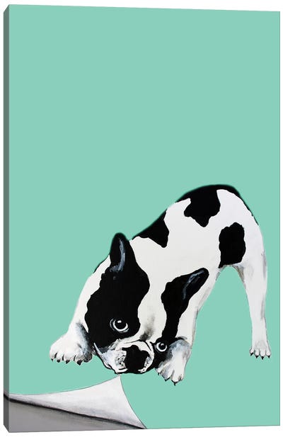 Bulldog Turning Page Canvas Art Print - Bulldog Art