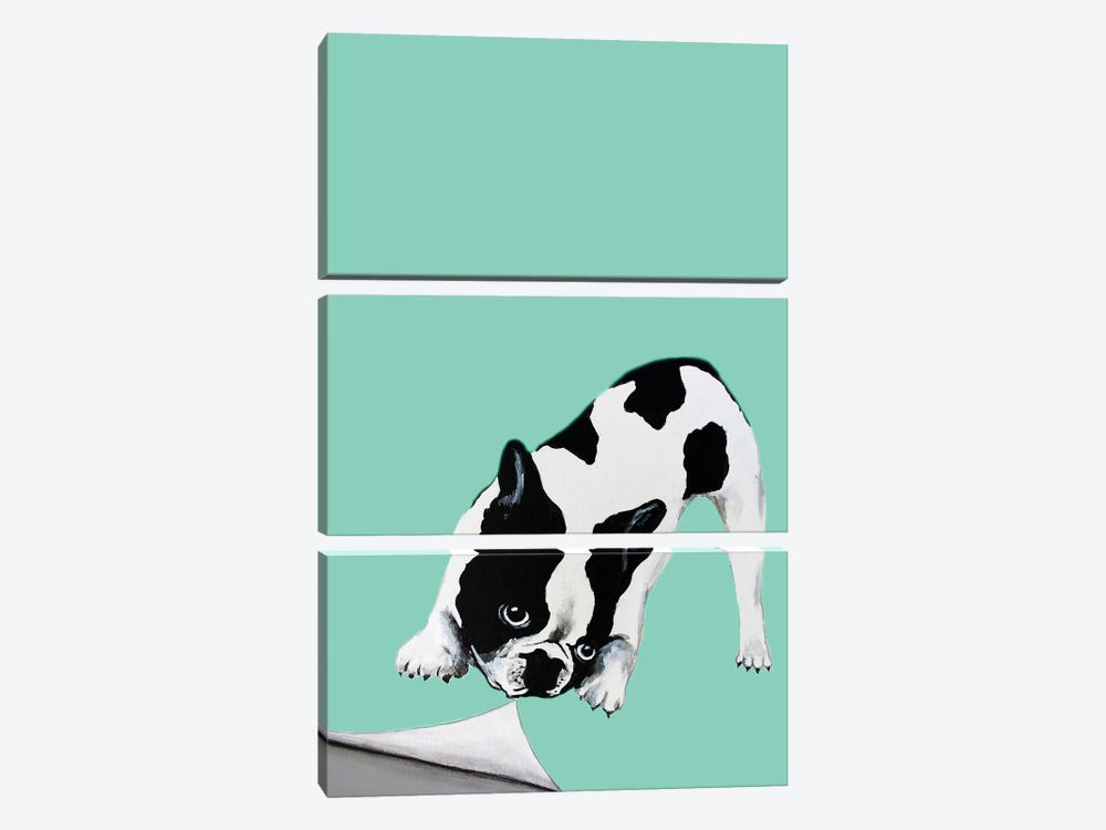 Bulldog Turning Page by Coco de Paris 3-piece Canvas Wall Art