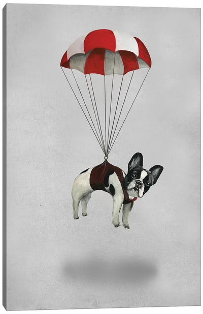 Bulldog With Parachute Canvas Art Print - Bulldog Art