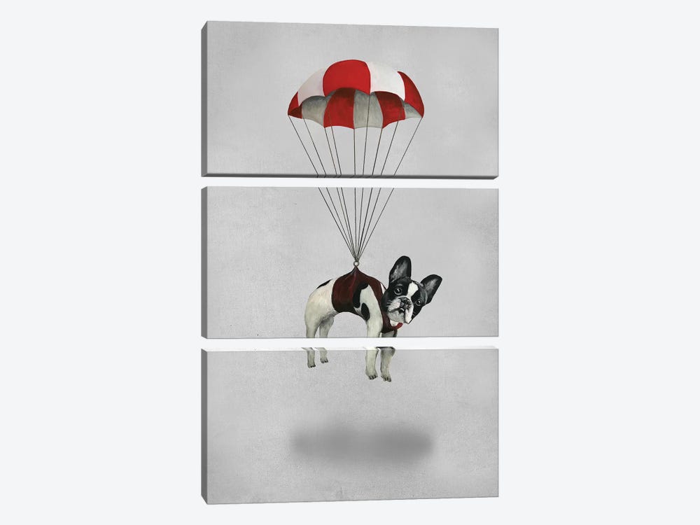 Bulldog With Parachute by Coco de Paris 3-piece Art Print