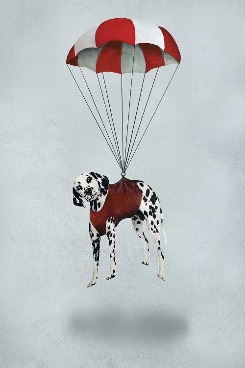 Dalmatian Parachute