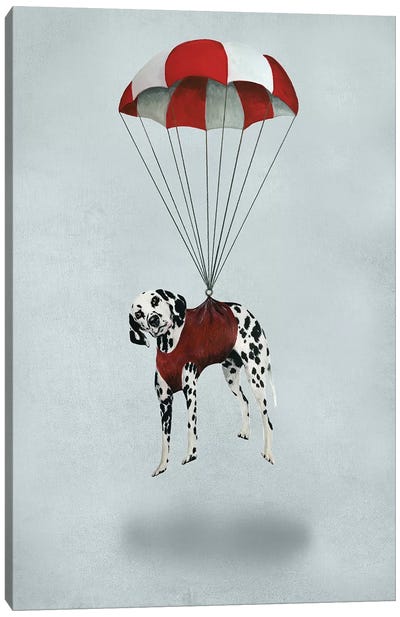 Dalmatian Parachute Canvas Art Print - Dalmatian Art