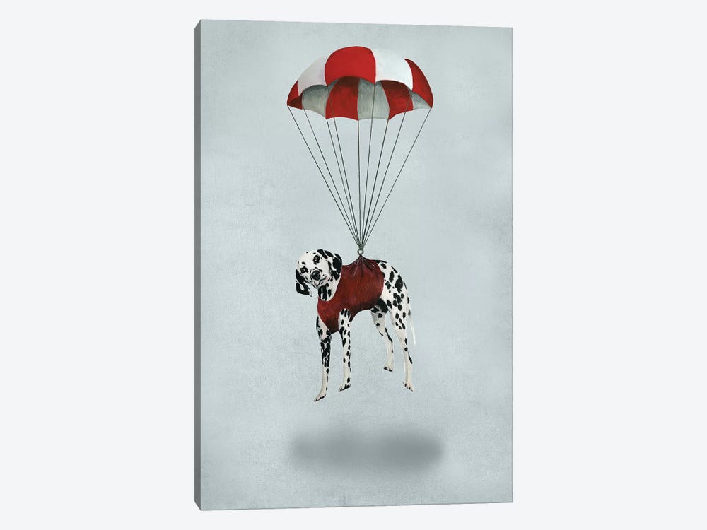 Dalmatian Parachute by Coco de Paris 1-piece Canvas Art Print