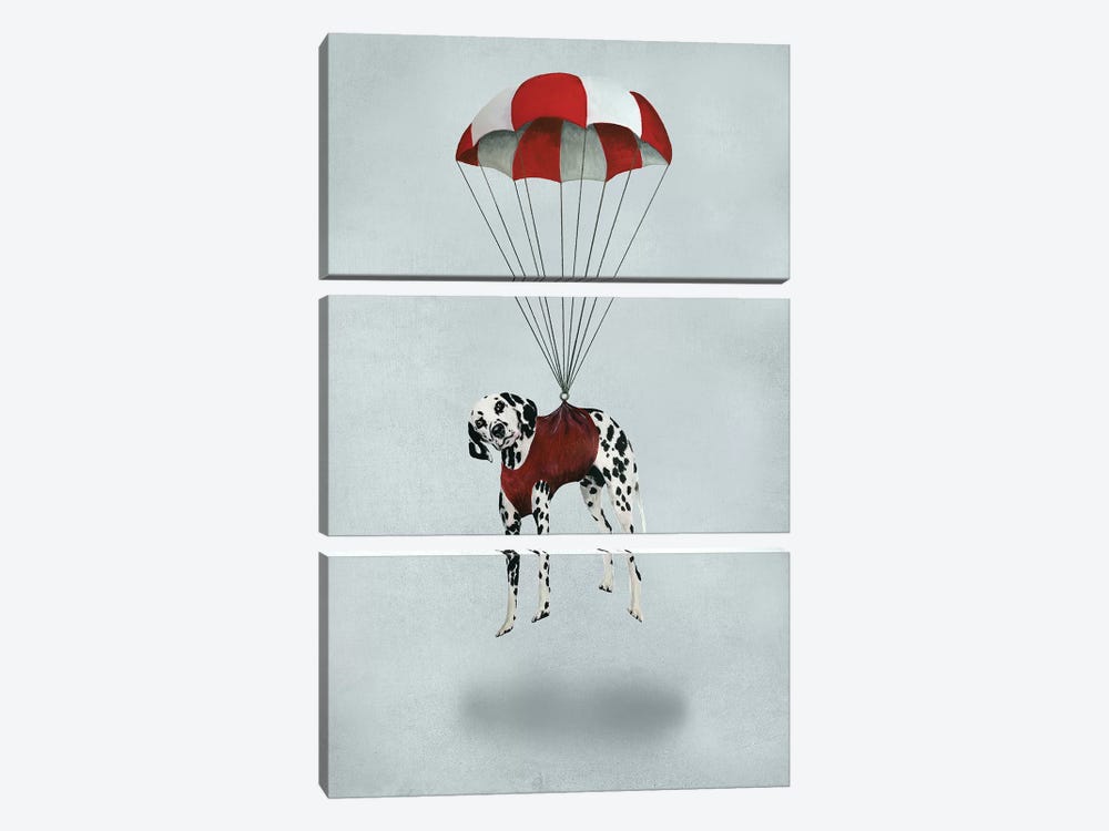 Dalmatian Parachute by Coco de Paris 3-piece Canvas Art Print