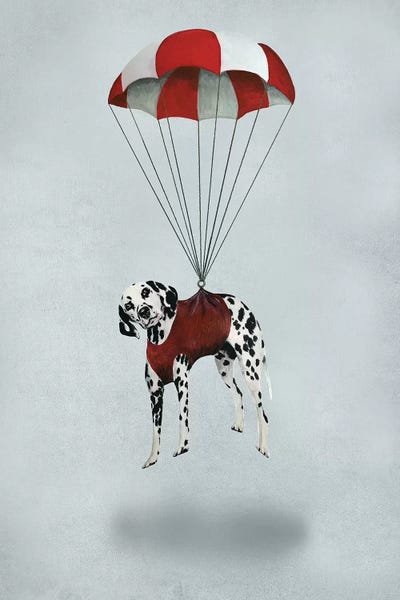 Coco de Paris: Dalmatian Parachute by Coco de Paris