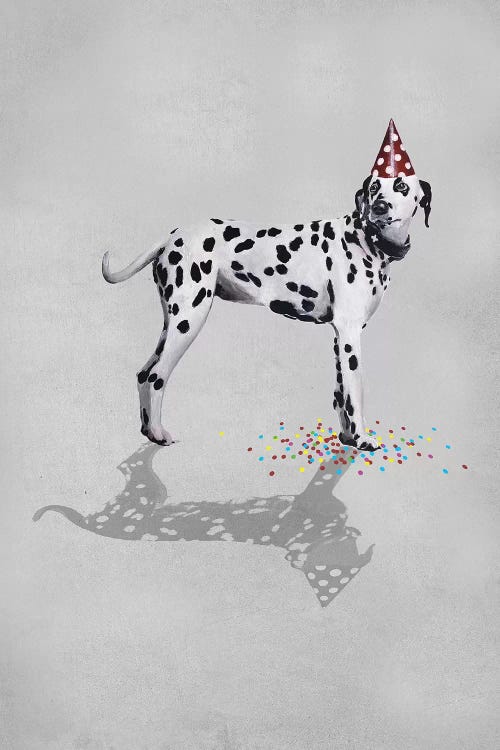 Dalmatian Party