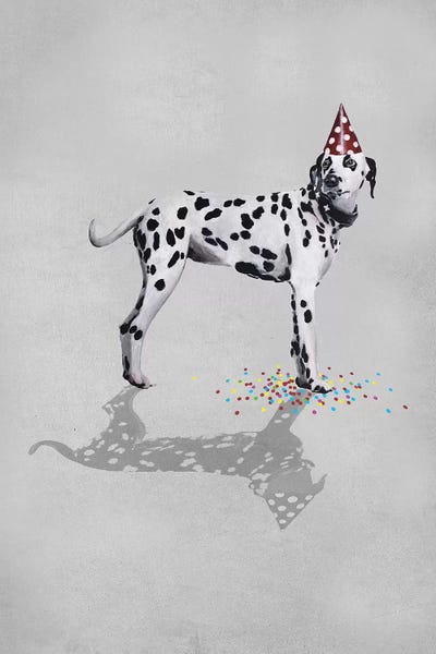 Coco de Paris: Dalmatian Party by Coco de Paris