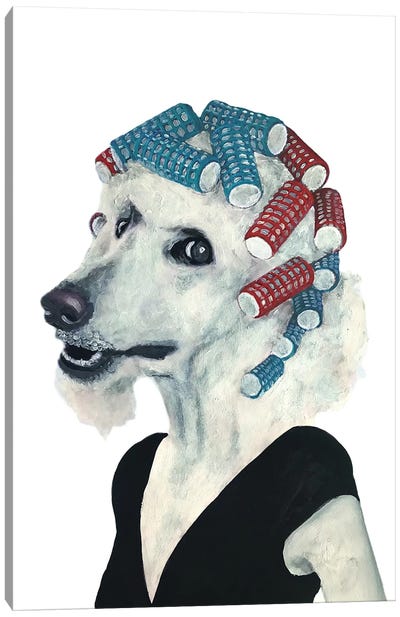Poodle Haircurles Canvas Art Print - Poodle Art