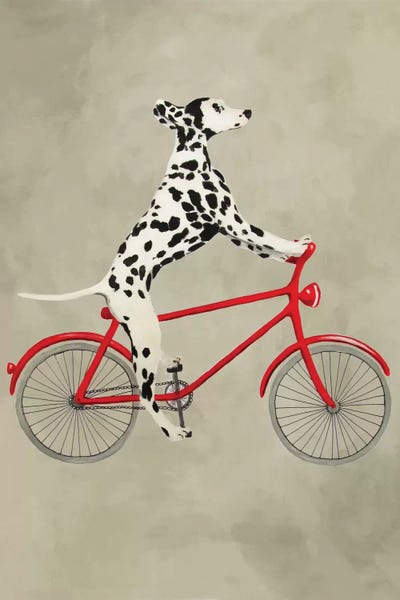 Dalmatian On Bicycle by Coco de Paris canvas print