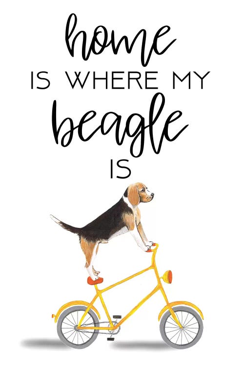 Beagle