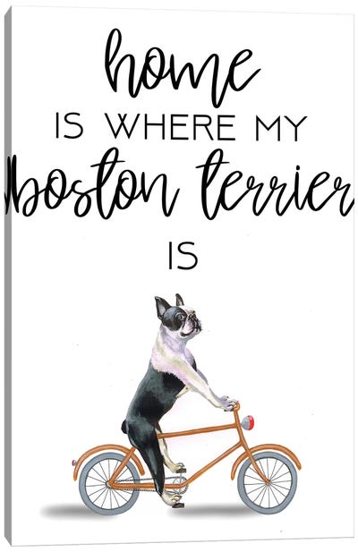 Boston Terrier Canvas Art Print