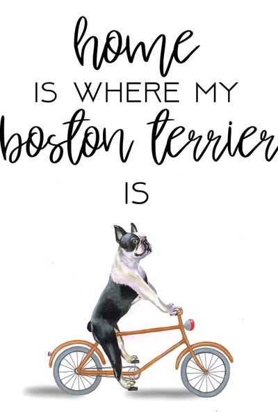 Terriers: Boston Terrier by Coco de Paris