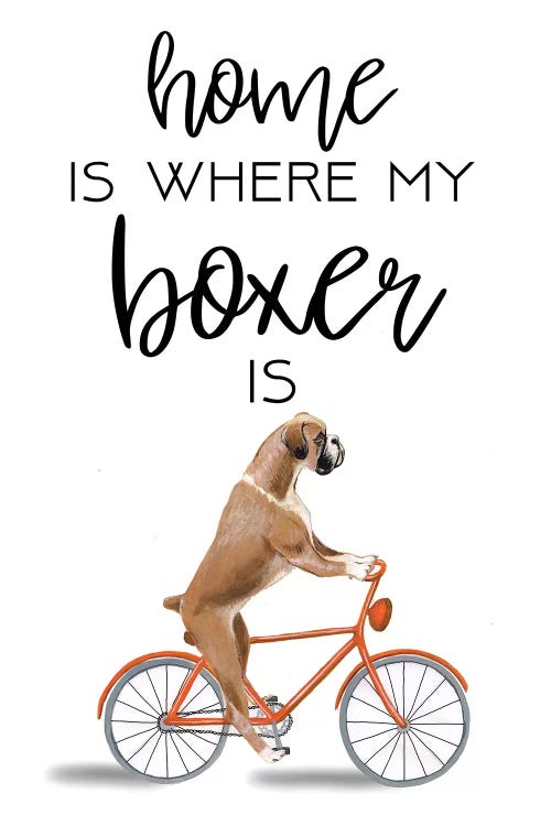 Boxer