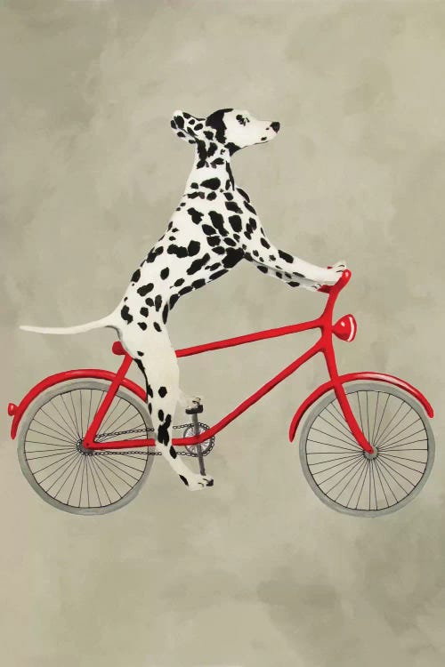 Dalmatian On Bicycle