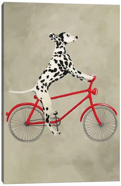Dalmatian On Bicycle Canvas Art Print